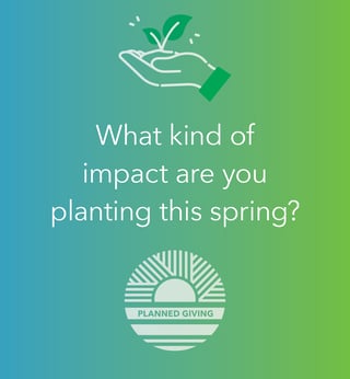 What kind of impact are you planting this spring graphic